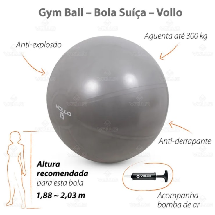 Bola Vollo Gym 75Cm Res 300Kg C/Bomba Unissex - Cinza
