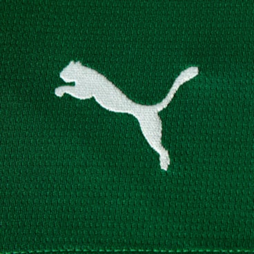 Calção Palmeiras II 26/27 Puma Torcedor Infantil - Verde
