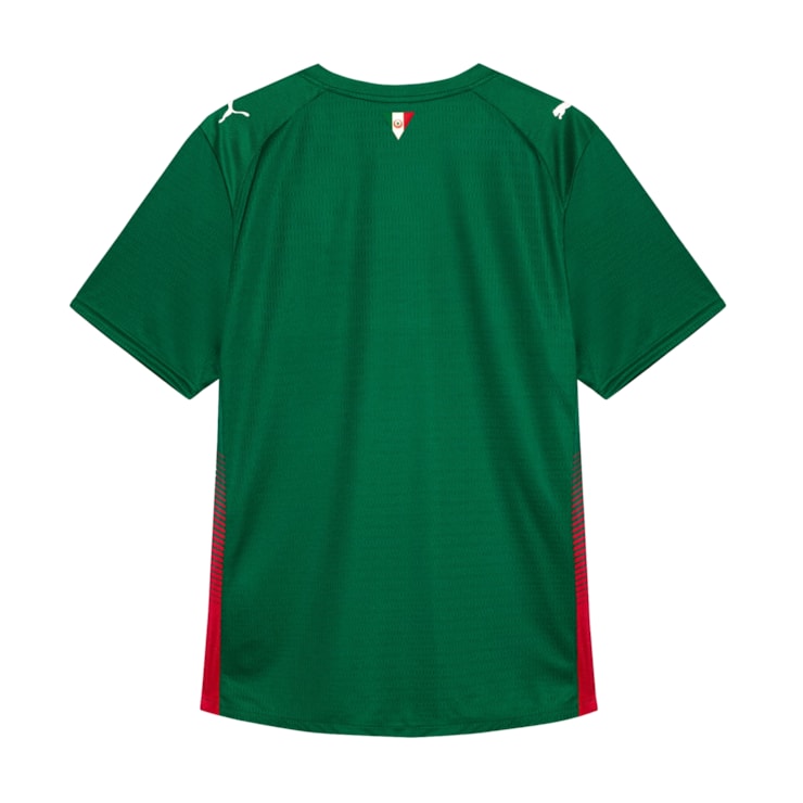 Camisa Palmeiras I 26/27 Puma Jogador Masculina - Verde