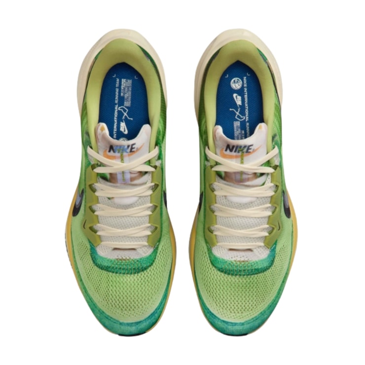 Tênis Nike Air Zoom Pegasus 41 Se Masculino - Verde/Multicolor