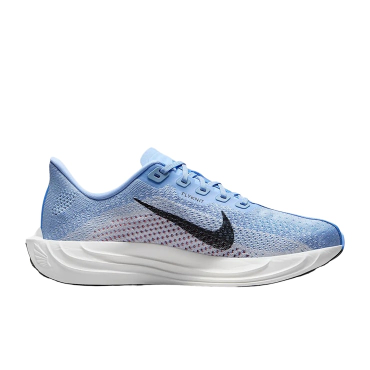 Tênis Nike Pegasus Plus Feminino - Azul/Branco