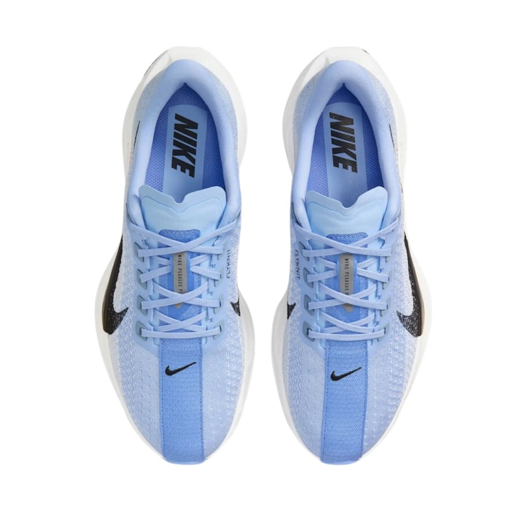 Tênis Nike Pegasus Plus Feminino - Azul/Branco