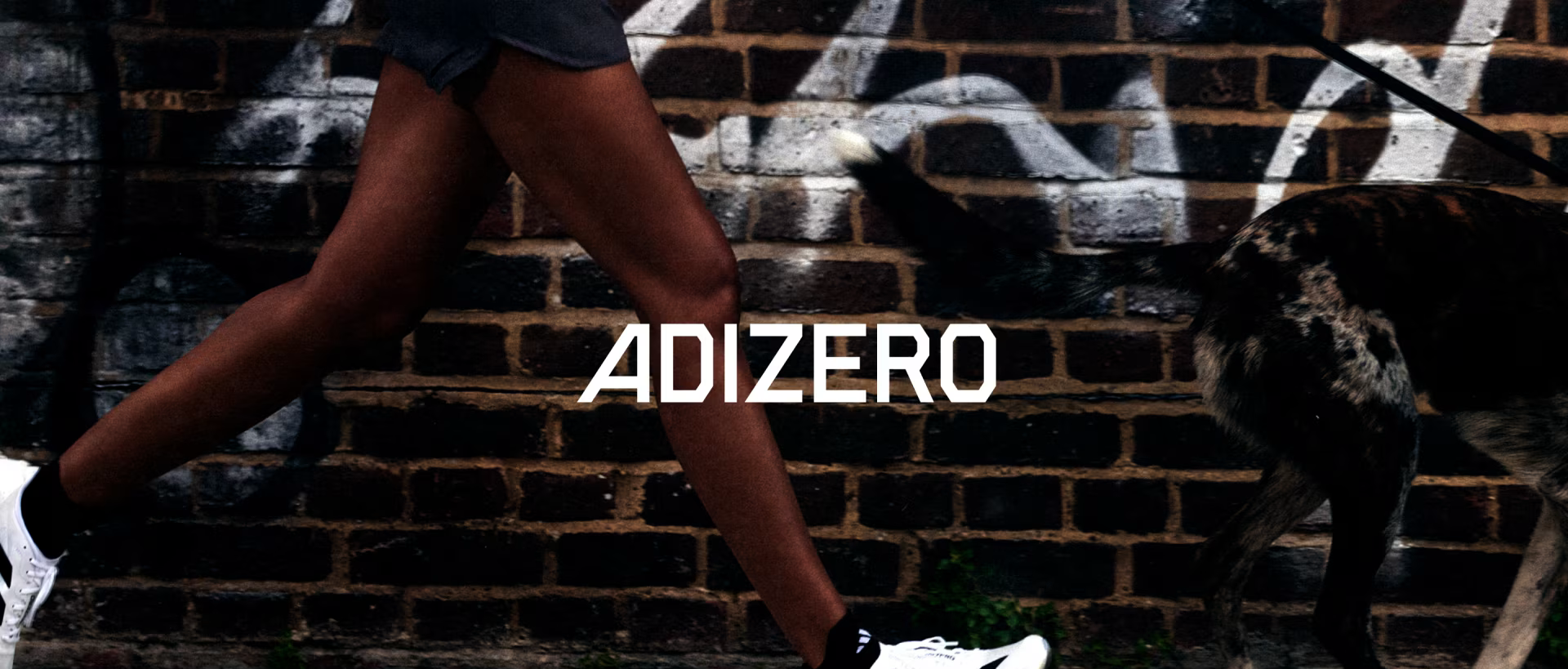 Banner Bayard Esportes