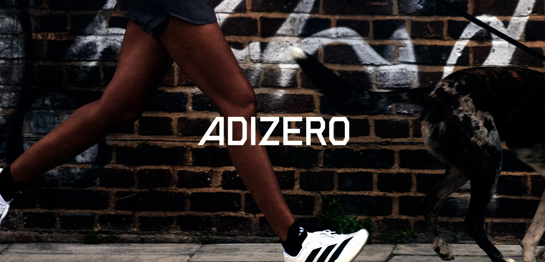 Banner Bayard Esportes